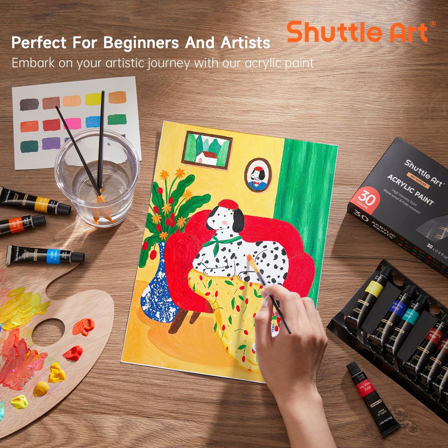 Shuttle Art Acrylic Paint Set