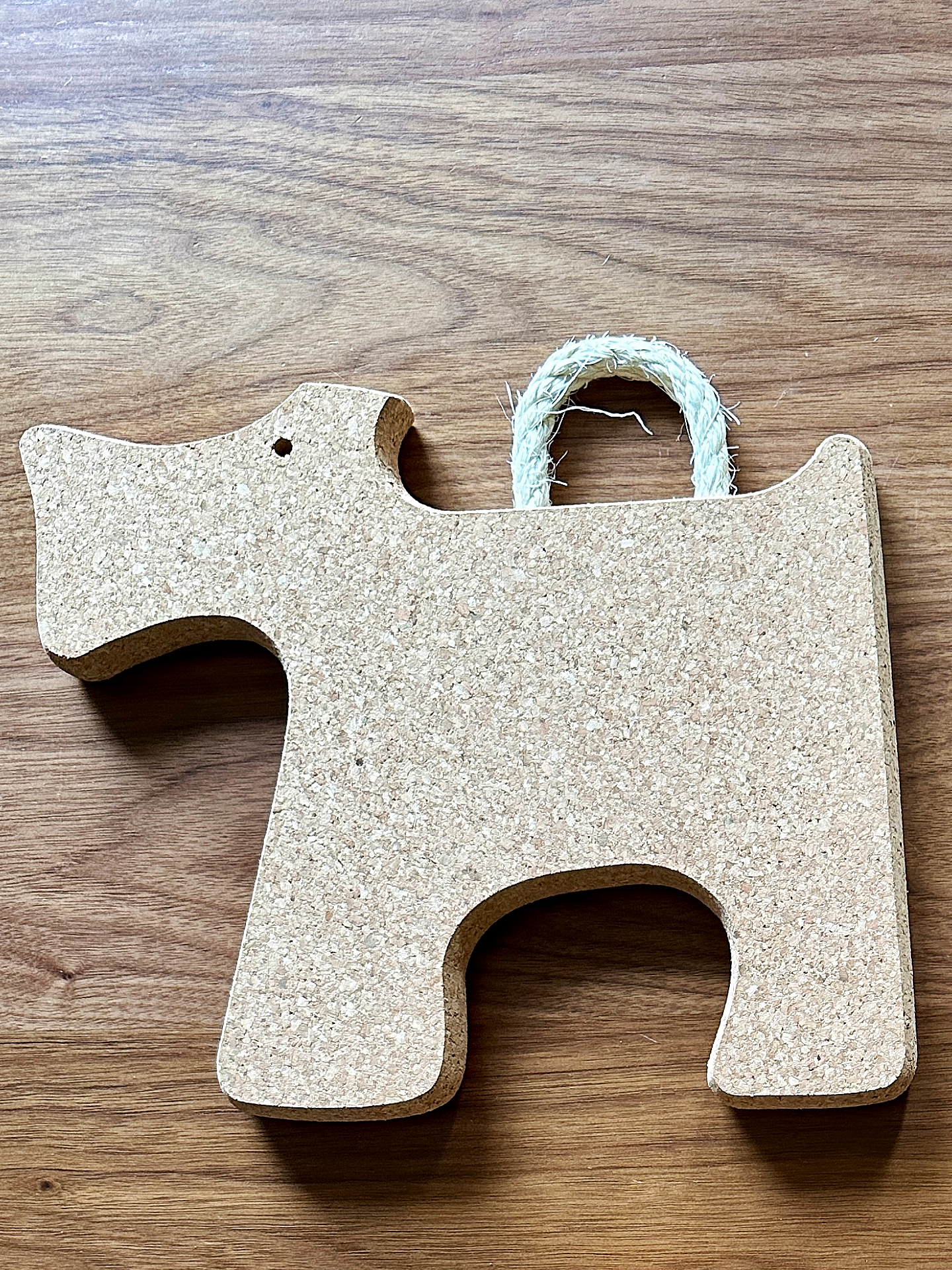 Nature Shaped Cork Hot Pad Trivet