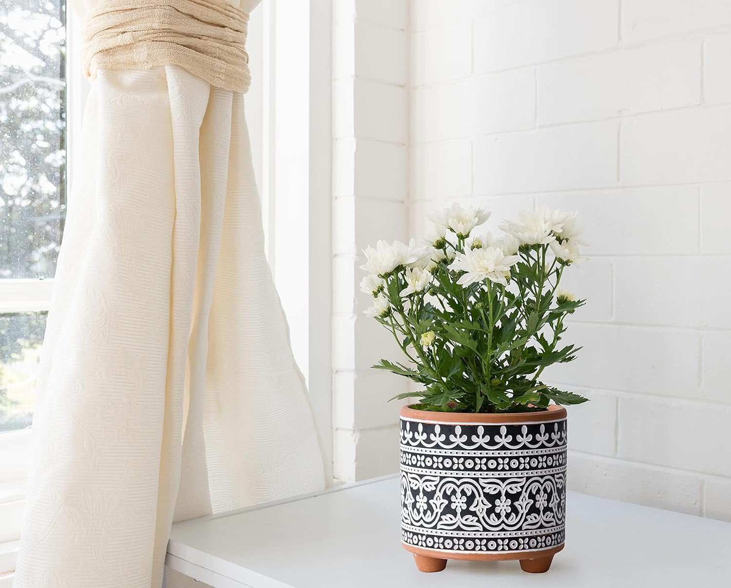 D'Vine Dev Set of 2 Terracotta Planter Pots, 4 Inch & 6 Inch, Design Plants Pot with Drainage Hole, Midnight Lace, Terracotta/Black, 31-953-F-2