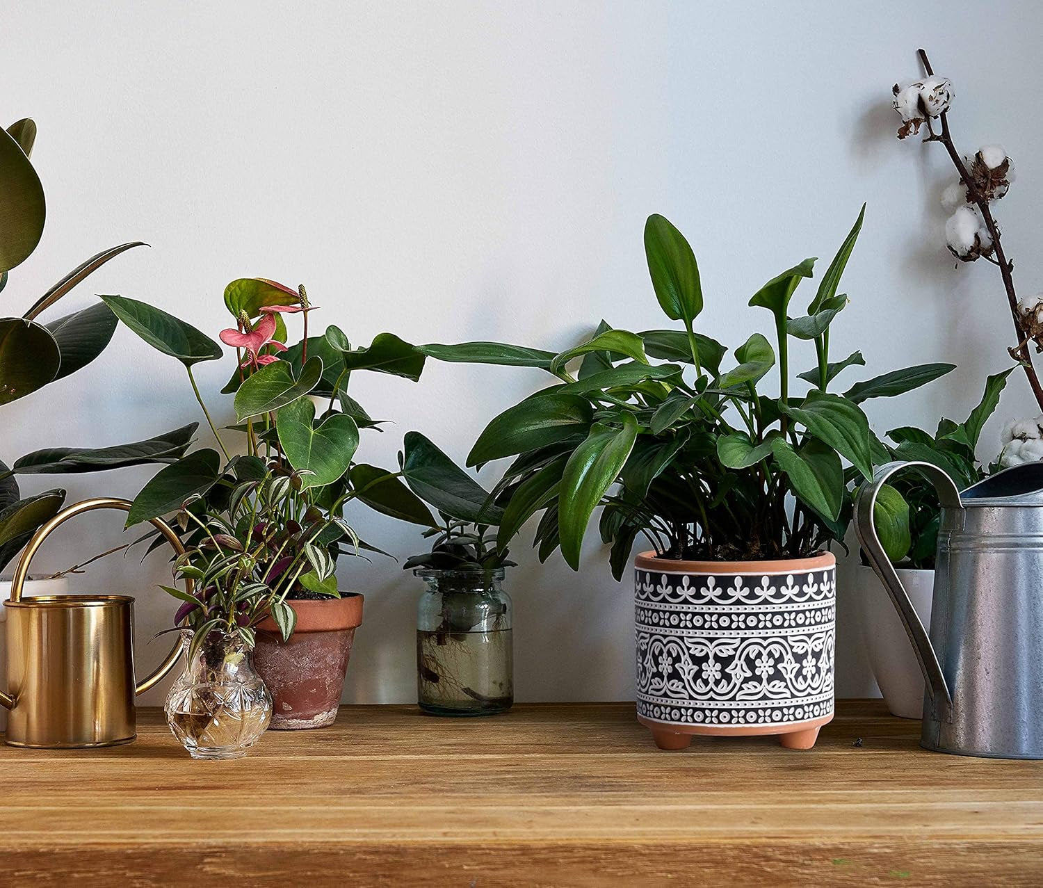 D'Vine Dev Set of 2 Terracotta Planter Pots, 4 Inch & 6 Inch, Design Plants Pot with Drainage Hole, Midnight Lace, Terracotta/Black, 31-953-F-2