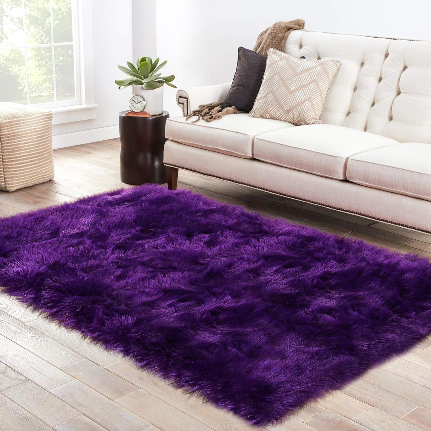 Thick Plush Carpet